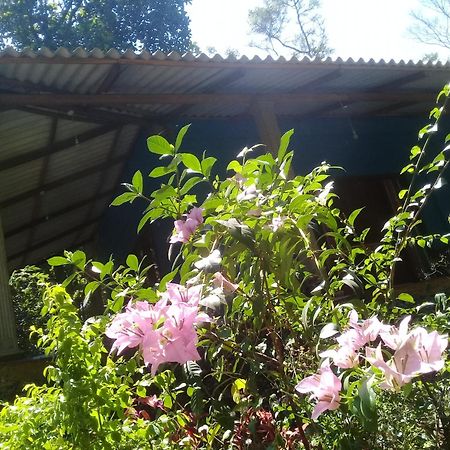 Dambulla Sun Vsh Holiday Εξωτερικό φωτογραφία