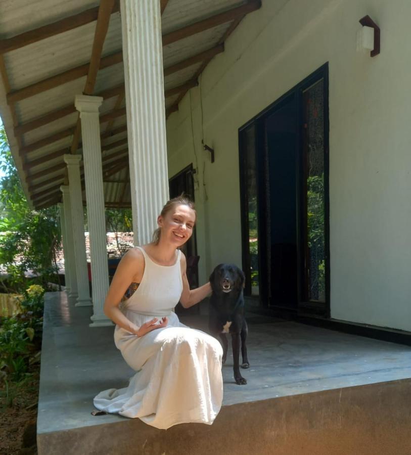 Dambulla Sun Vsh Holiday Εξωτερικό φωτογραφία